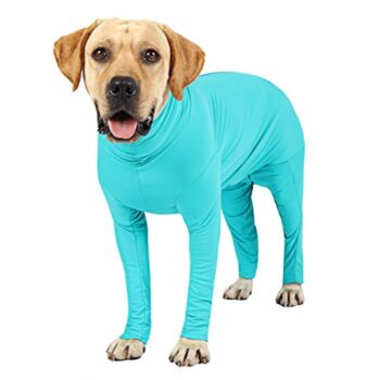 Etdane Dog Onesie Surgery Recovery Suit Prevent Shedding Hair Sport Shirt Anxiety Jumpsuits Lake Blue/X-Small